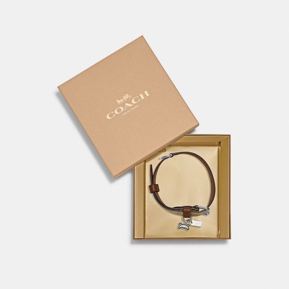COACH Accessories - NWT Coach Outlet Boxed Large Pet Collar In Signature Canvas